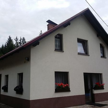 Willa Kóńsko Sigła Wisła Zewnętrze zdjęcie